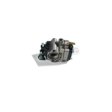F5 CARBURETOR 4317